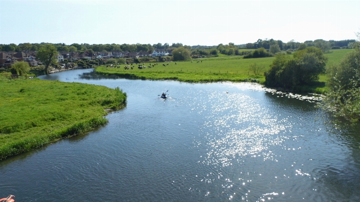 Marsh river canal pond Photo