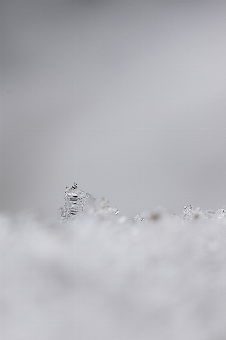 눈 추운 겨울 보케
