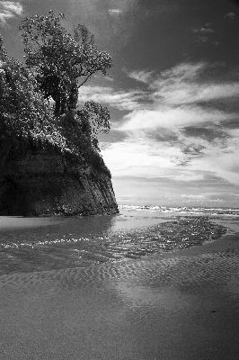 Foto Pantai laut pesisir air