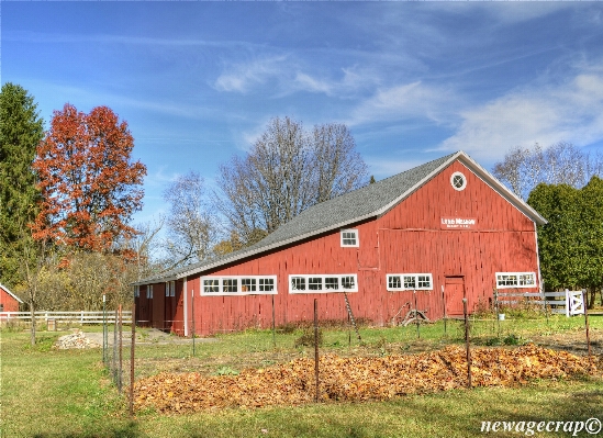 Farm meadow building barn Photo