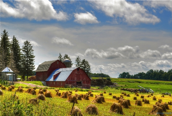 Landscape mountain field farm Photo