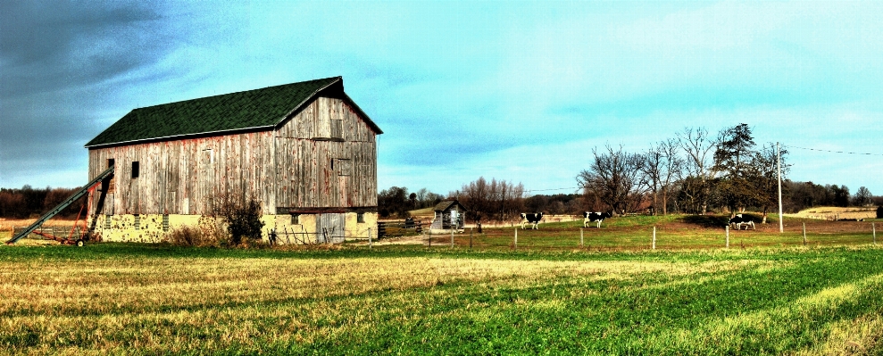 Landscape field farm lawn Photo