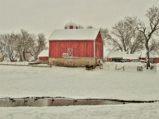 Snow winter barn rural Photo