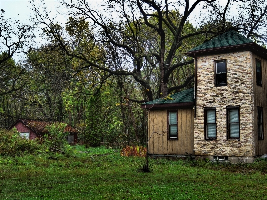 Tree farm lawn house Photo