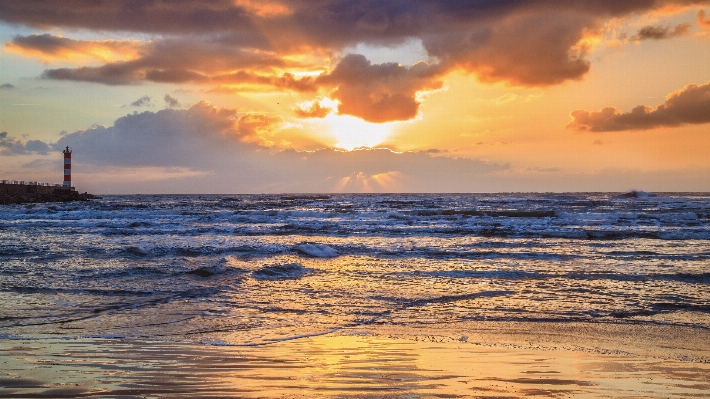 Beach sea coast water Photo