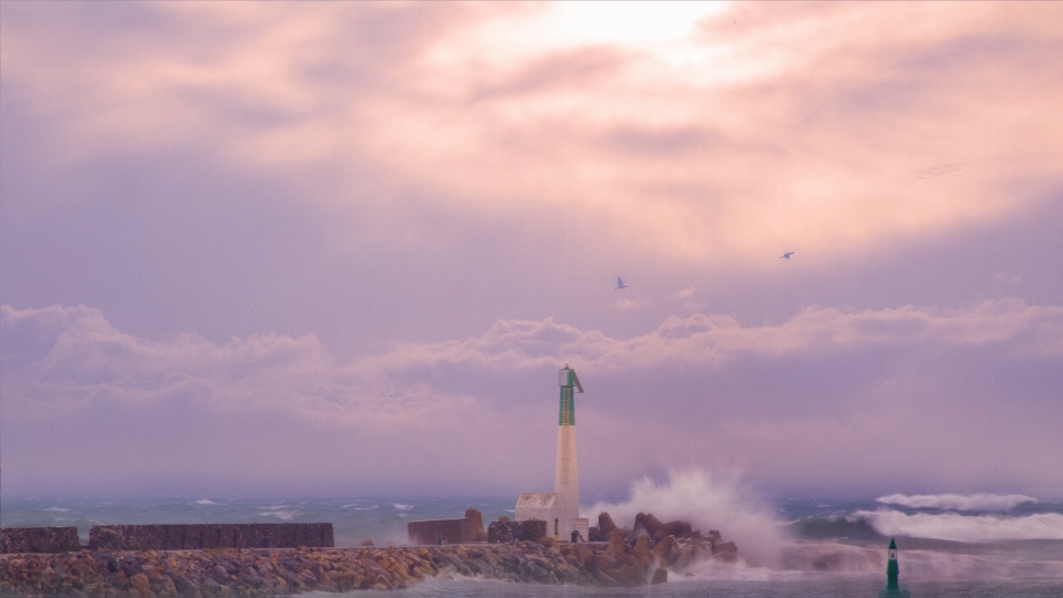 Morze wybrzeże woda ocean