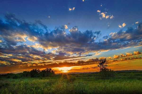 Landscape nature grass horizon Photo