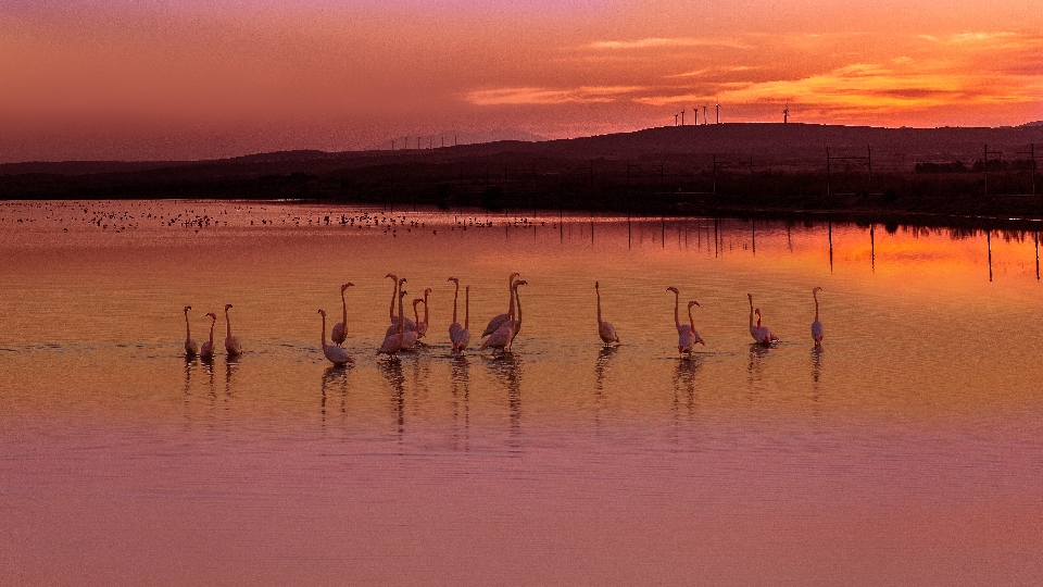 Mer lever du soleil coucher de matin