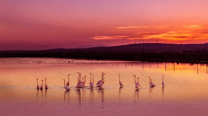 Foto Alba tramonto mattina lago