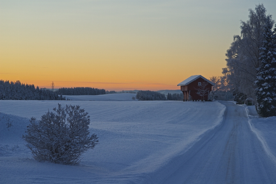 Nature montagne neige froid