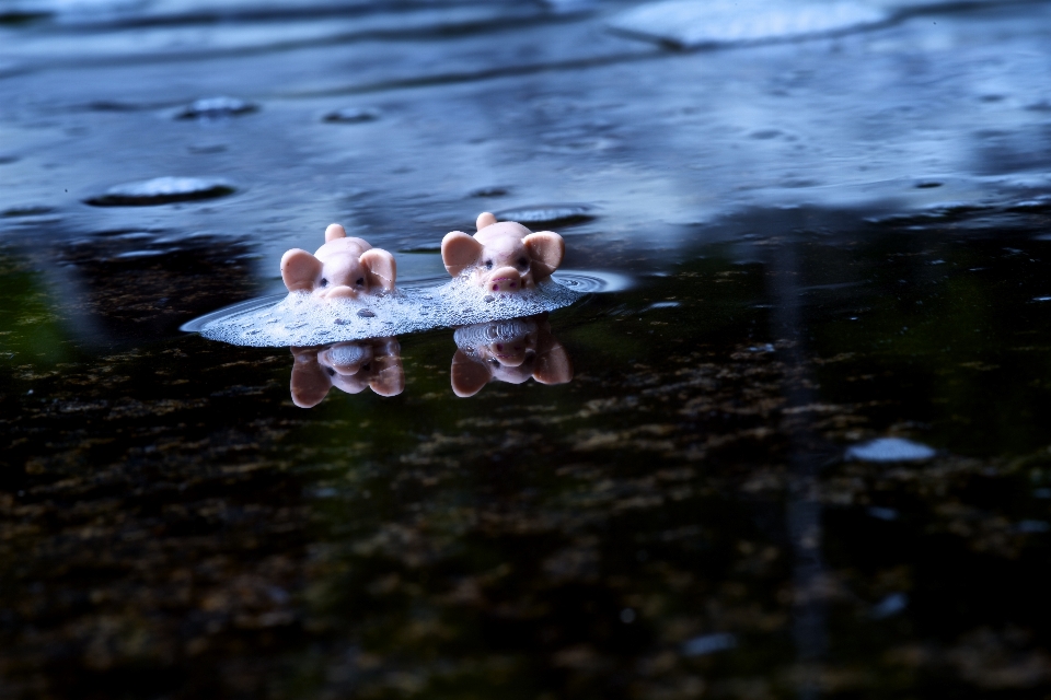 море вода природа сладкий