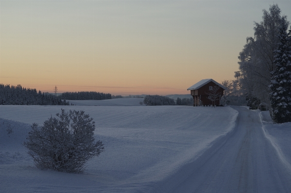 Photo Paysage nature neige froid