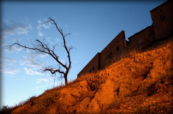 Tree nature rock cloud Photo