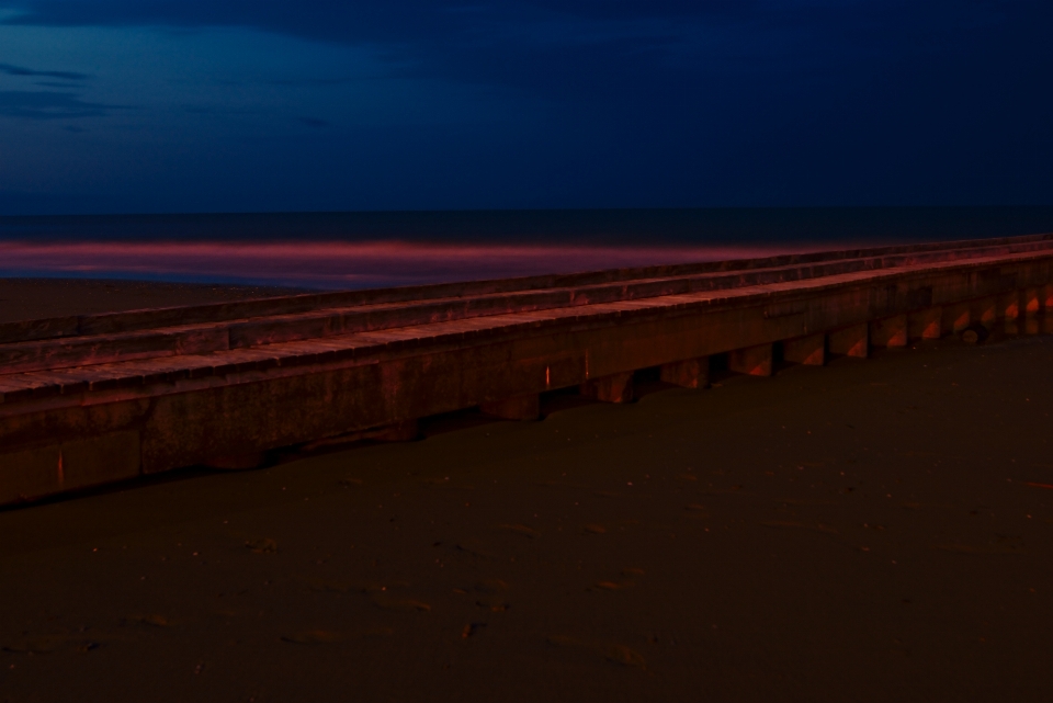 Beach sea coast ocean