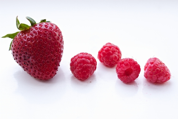 Plant white raspberry fruit Photo