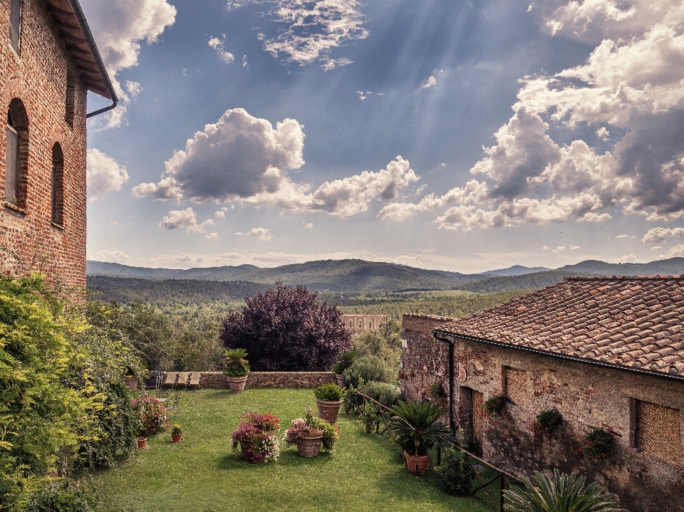 Paesaggio nube cielo fiore