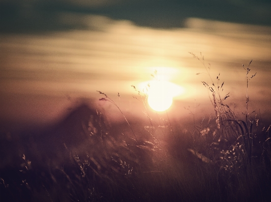 Nature horizon light cloud Photo