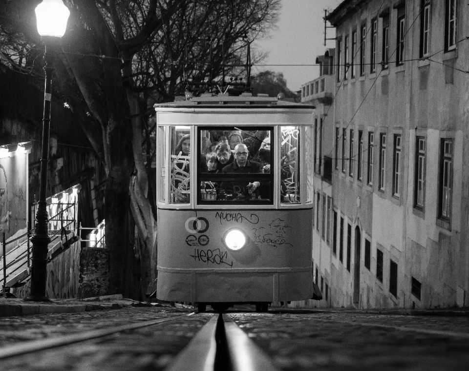 Noir et blanc
 route blanc rue