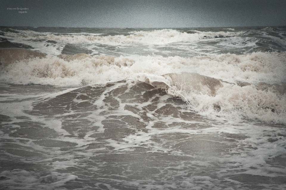 ビーチ 海 海岸 水