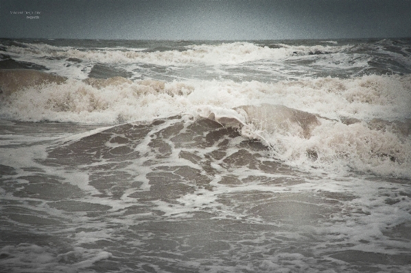 Beach sea coast water Photo