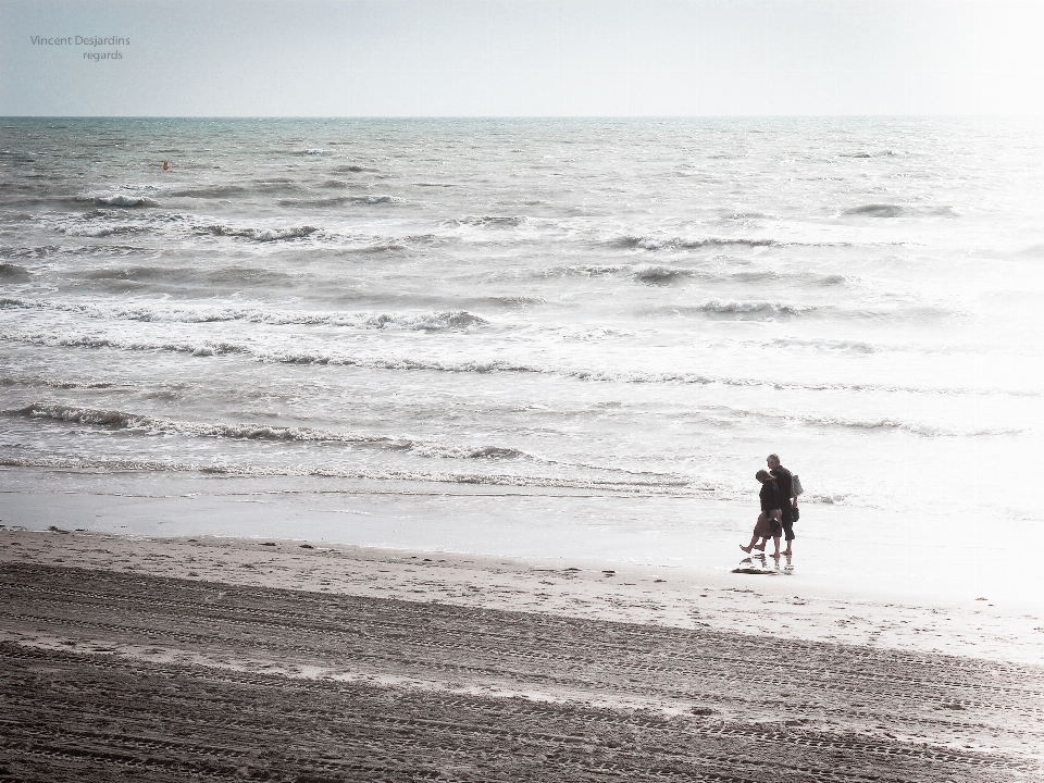 Plaża morze wybrzeże piasek