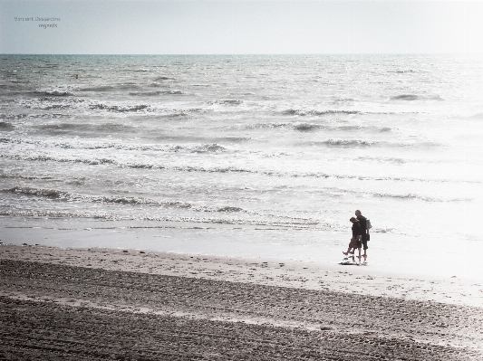 Beach sea coast sand Photo