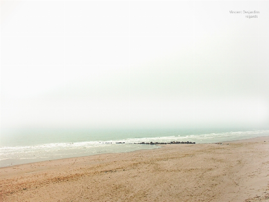 Beach sea coast sand Photo