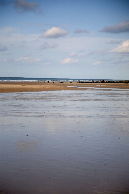 Spiaggia mare costa acqua