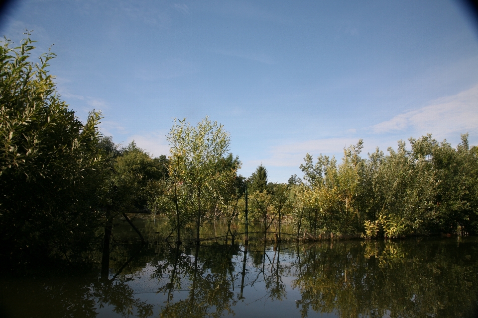 Krajobraz drzewo woda natura