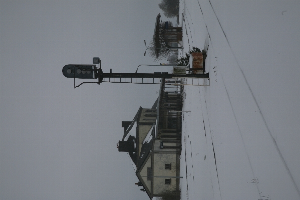 Foto Paesaggio nevicare inverno vento