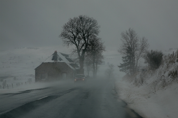 雪 冬 霧 道 写真