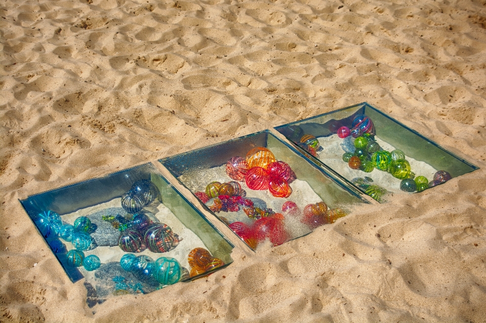 Spiaggia mare sabbia fiore