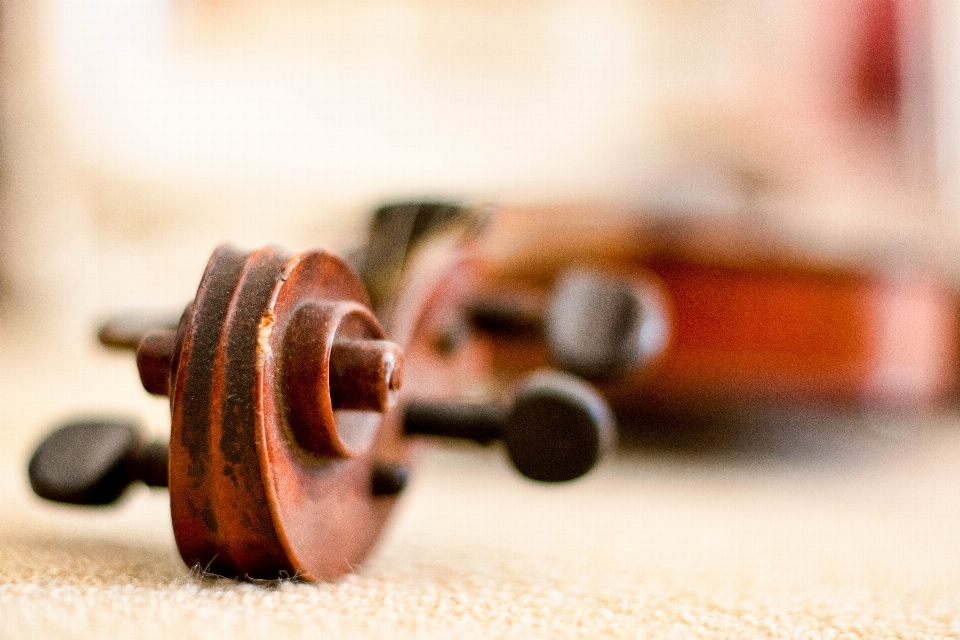 Ręka muzyka gitara instrument