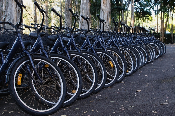 Wheel bicycle bike pattern Photo