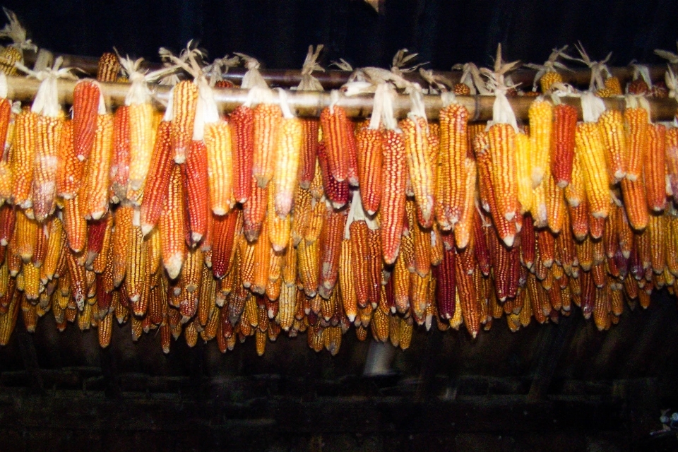 Flower formation food asia