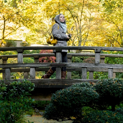 Tree creative woman bridge Photo