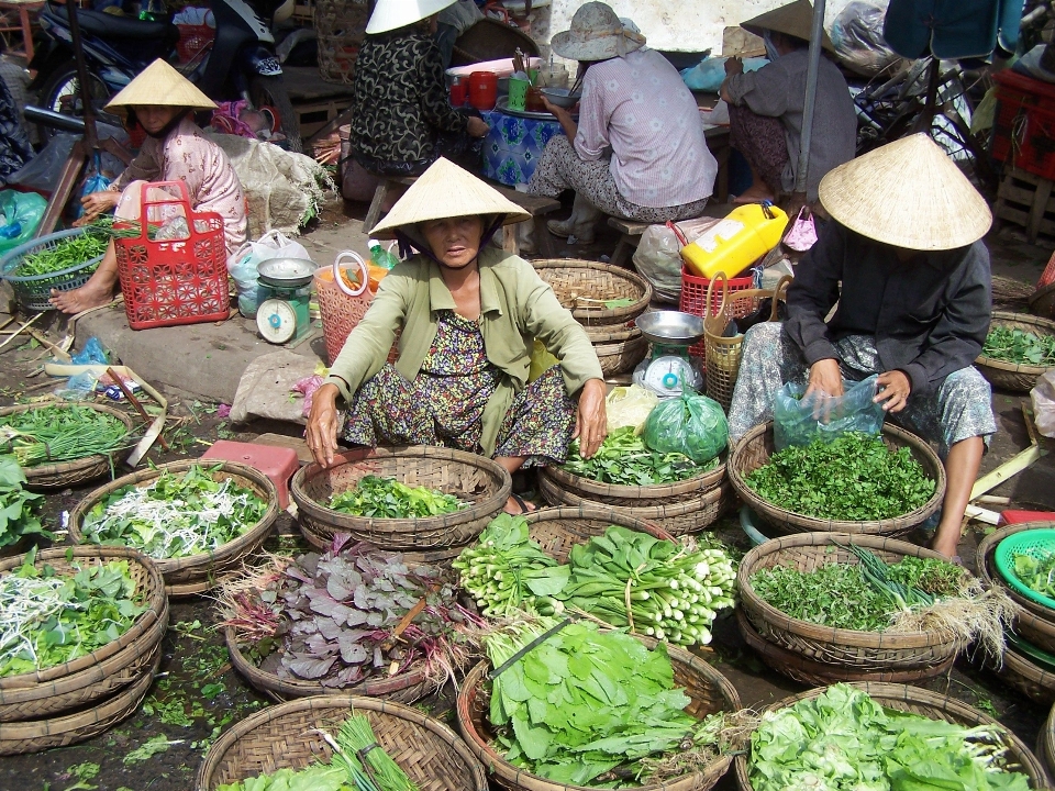 Bunga kota makanan penjual