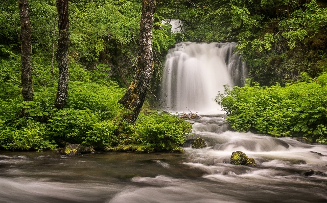 Landscape tree water nature Photo