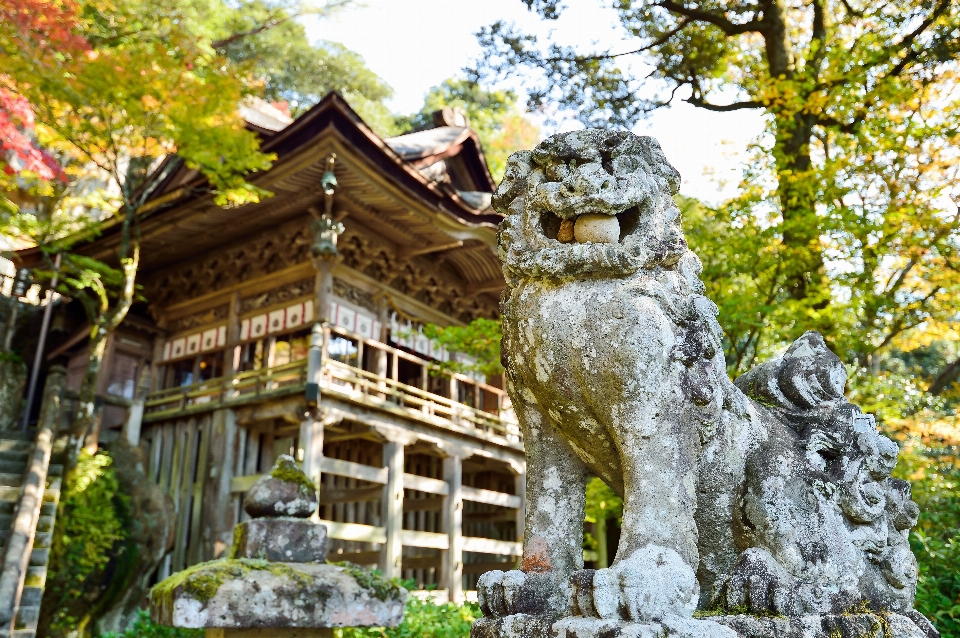 Landscape wood mansion building