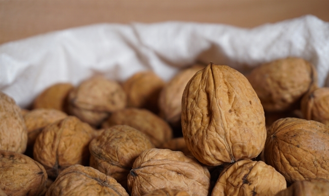 Natur anlage frucht essen Foto