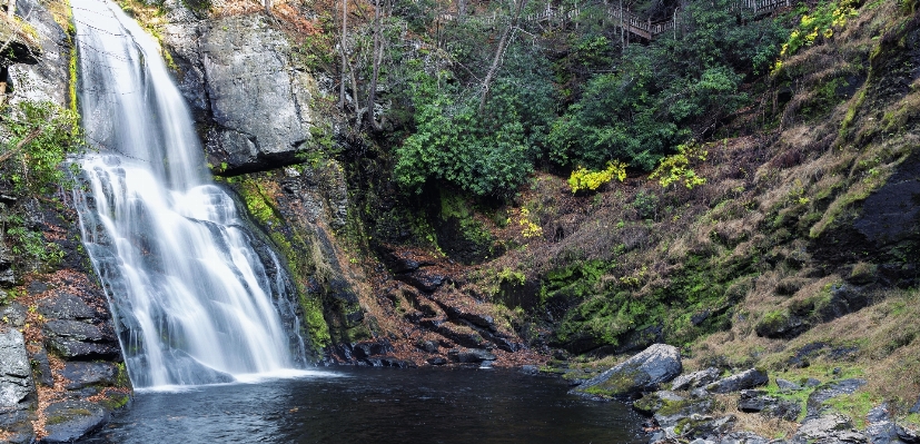 Landscape water nature forest Photo