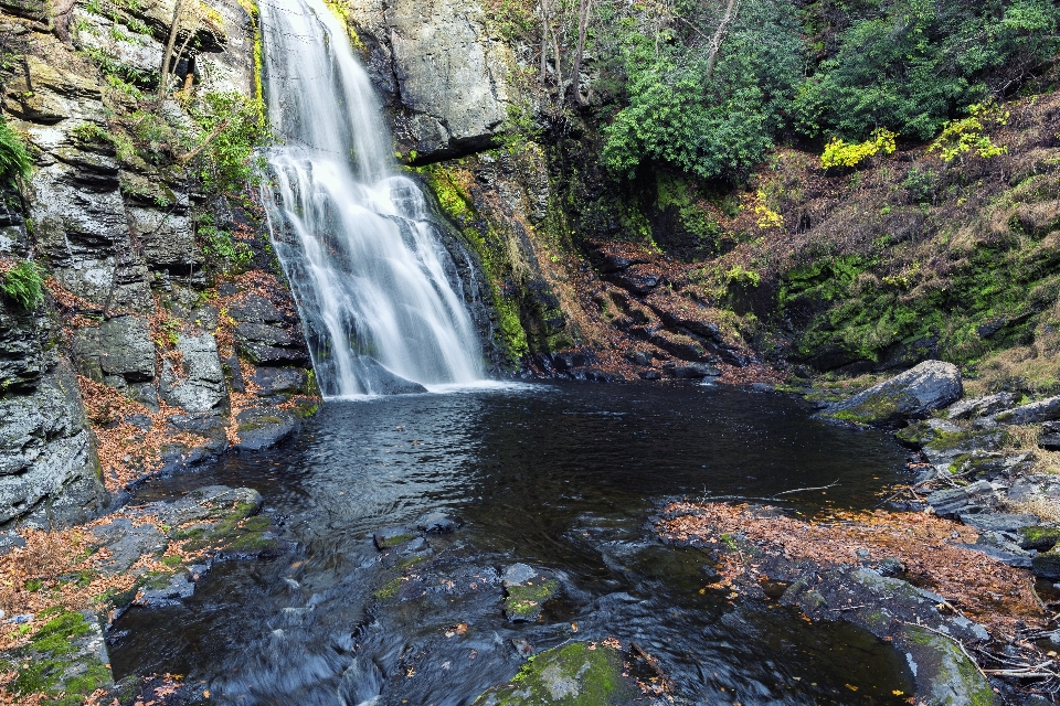 Landscape water nature forest