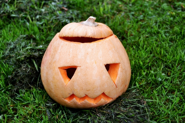 Produce pumpkin halloween squash Photo