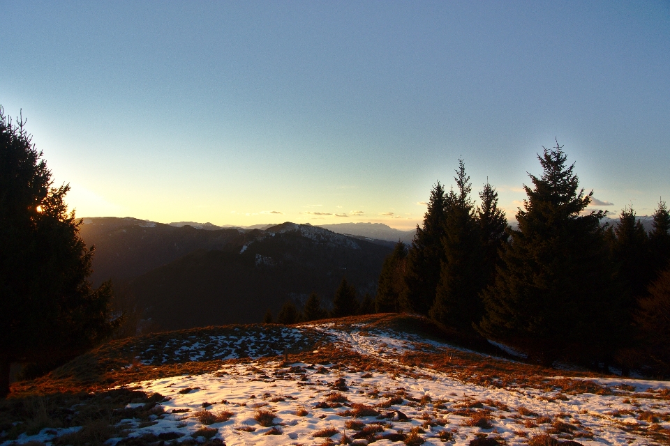 Krajobraz drzewo natura na wolnym powietrzu