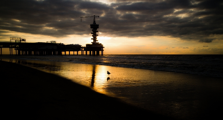 Beach sea coast ocean Photo