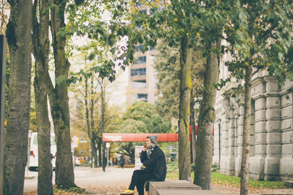 árbol arquitectura chica mujer