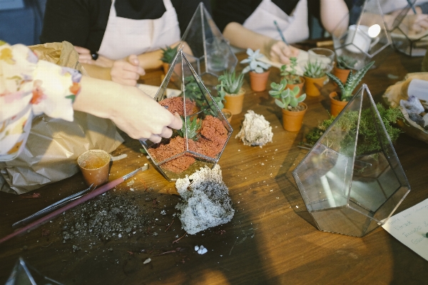 Table plant glass pot Photo