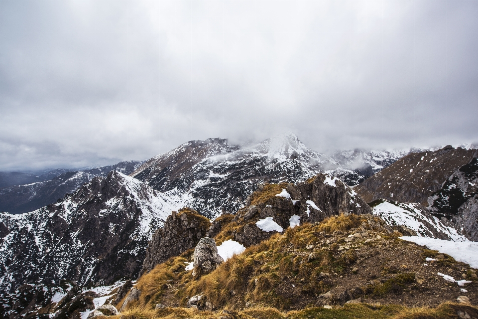 Paesaggio natura all'aperto selvaggia
