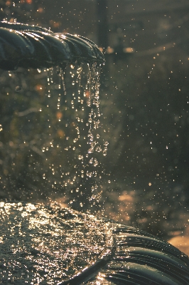 Water light night sunlight Photo