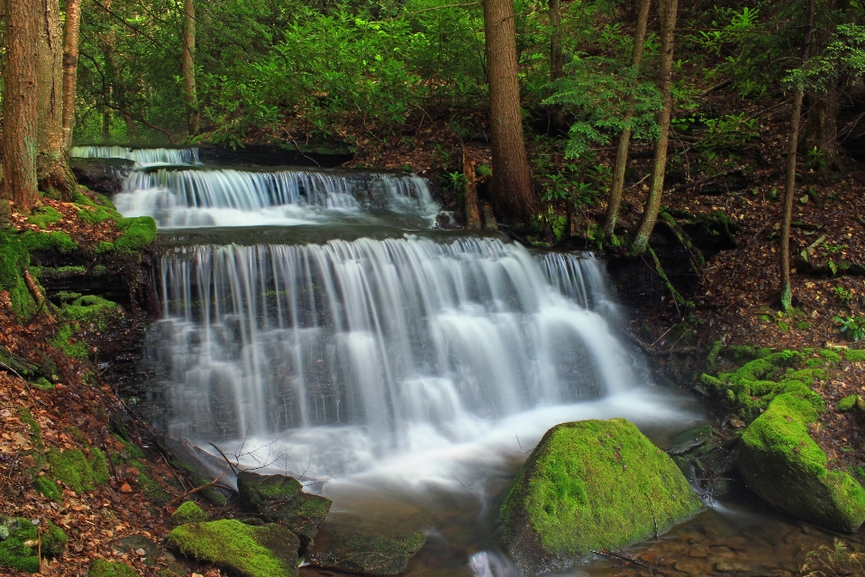 Air hutan terjun sungai kecil
